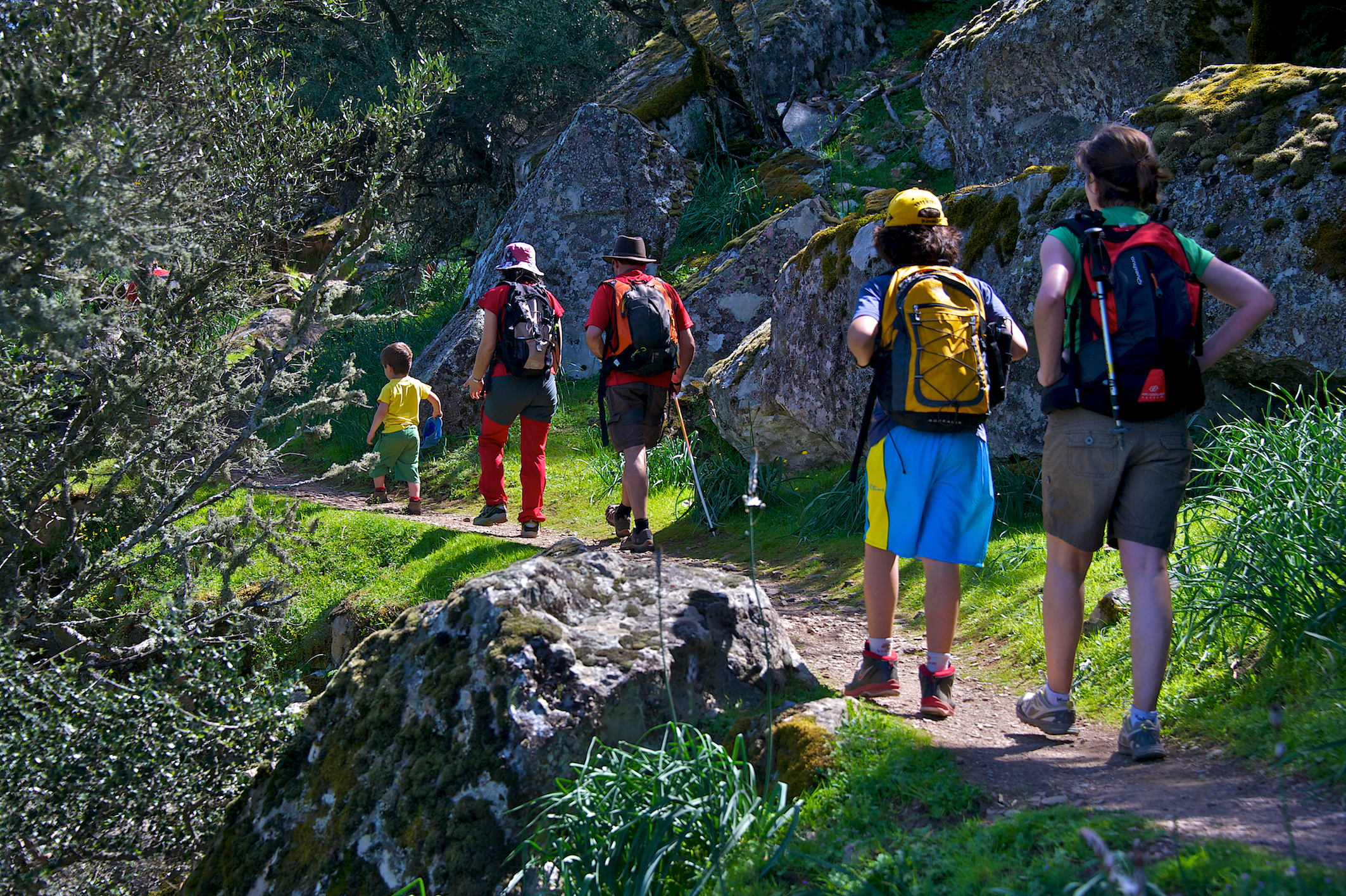 fd 2011 Lillo 00030 0012