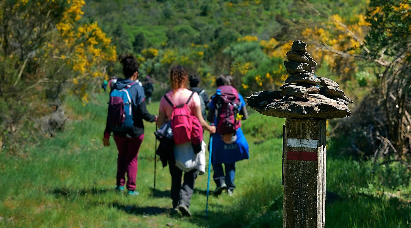 fd 2019 Lillo 0023 0377 e1765409345729