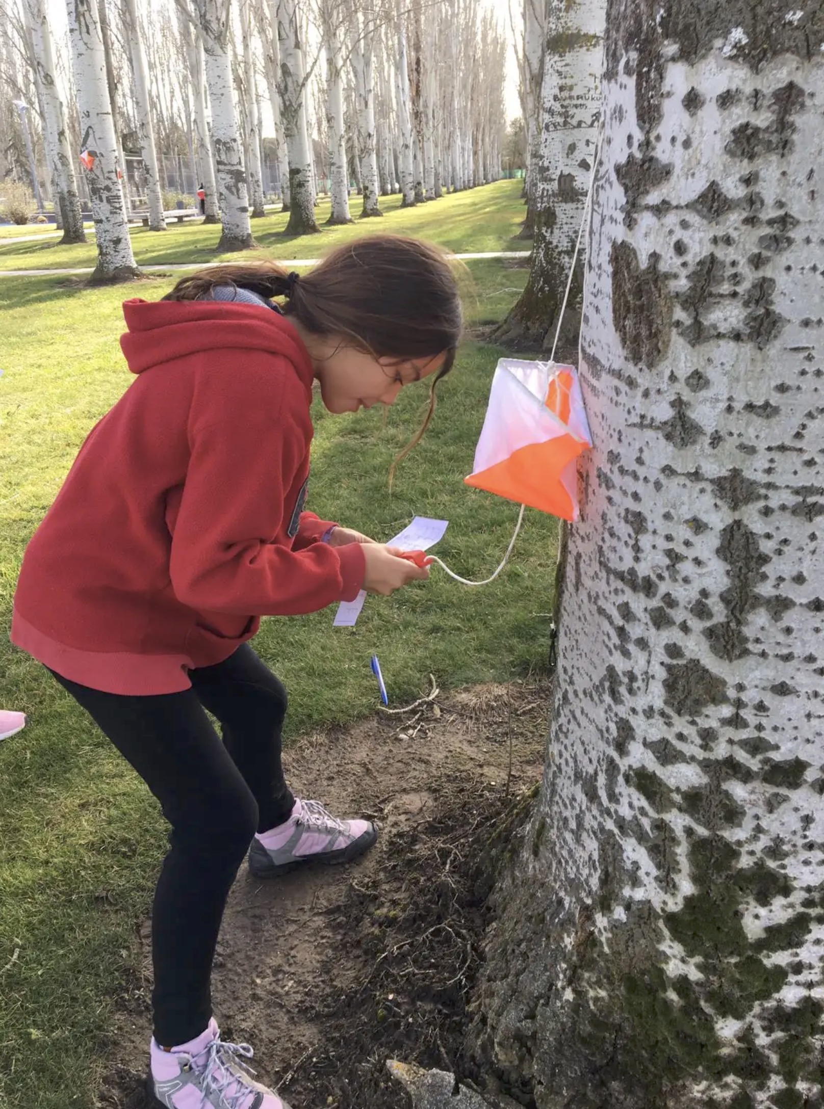 Captura de pantalla 2026 01 19 a las 20.03.42